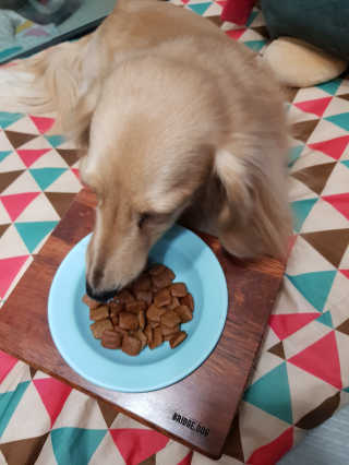 끙순둥단님이 올린 리뷰 사진 4