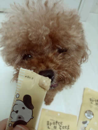 [펫토리아]짜먹는 한입뚝딱 강아지.고양이 마약간식 — 5점을 준 리뷰어가 2019년 8월 올린 사용 사진