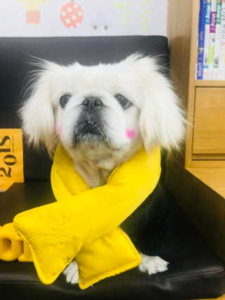 쏭님이 올린 리뷰 사진 1