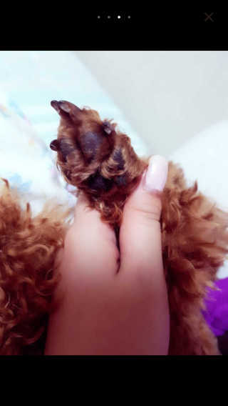 김은지님이 올린 리뷰 사진 2