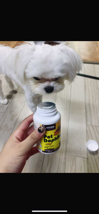 아룽님이 올린 리뷰 사진 1