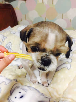 김주희님이 올린 리뷰 사진 2
