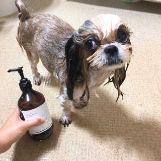 민준맘님이 올린 리뷰 사진 1