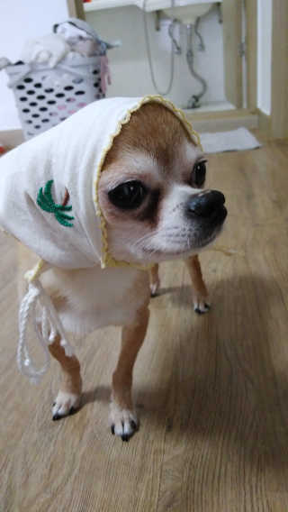 박한솔님이 올린 리뷰 사진 3