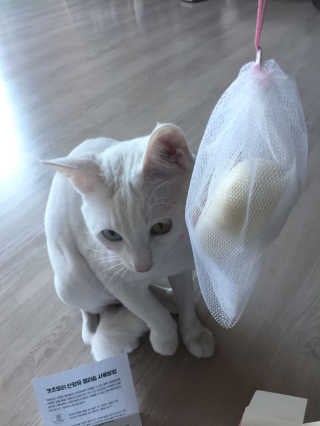 wnw111님이 올린 리뷰 사진 2