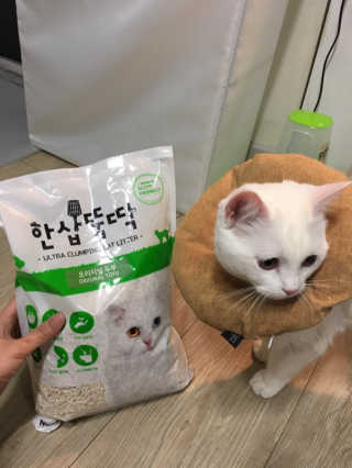 [펫토리아] BEST 고양이두부모래 6L 한삽뚝딱 — 5점을 준 리뷰어가 2019년 1월 올린 사용 사진