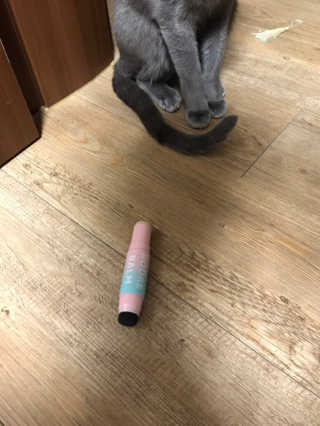 썽츄님이 올린 리뷰 사진 2
