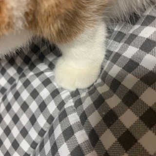 지나조이님이 올린 리뷰 사진 3