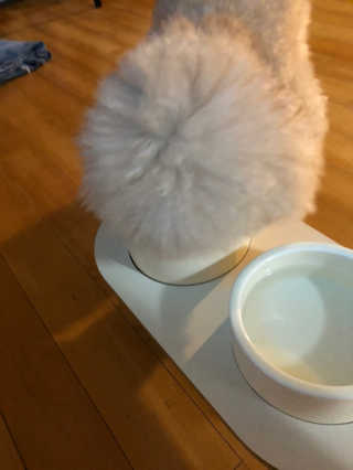 한배우님이 올린 리뷰 사진 4