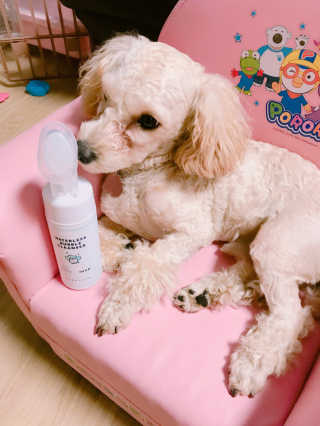 DaeunKim님이 올린 리뷰 사진 1