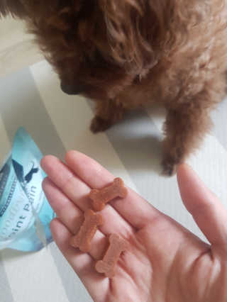 희야님이 올린 리뷰 사진 1