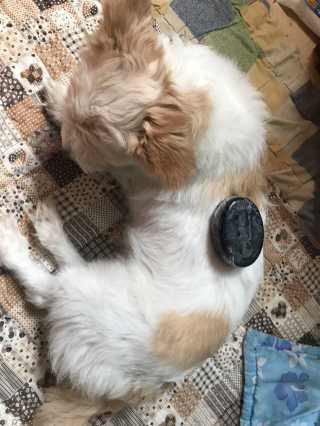전민선님이 올린 리뷰 사진 2