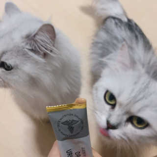 SaRangJeon님이 올린 리뷰 사진 3