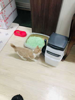 펫토리아 이중밀폐 고양이분변통 리터락커2 본품 — 5점을 준 리뷰어가 2018년 12월 올린 사용 사진