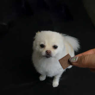 다니캉님이 올린 리뷰 사진 3