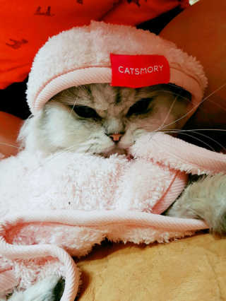 이영실님이 올린 리뷰 사진 1