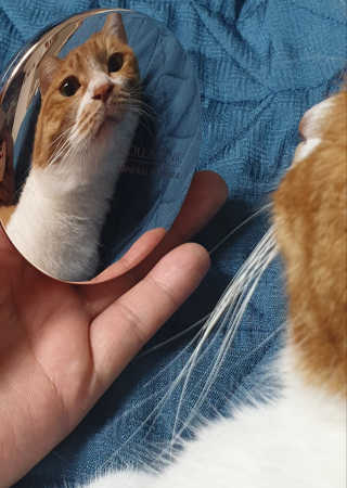 달님님이 올린 리뷰 사진 1