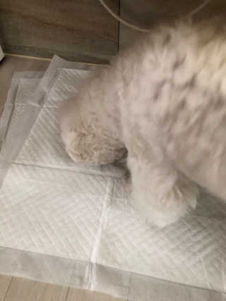 loveyoung님이 올린 리뷰 사진 4