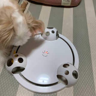 어거스트비님이 올린 리뷰 사진 3