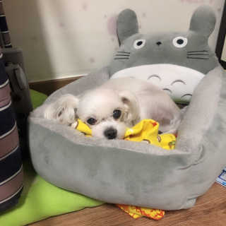 공쥬님이 올린 리뷰 사진 2