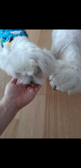 꿍님이 올린 리뷰 사진 4
