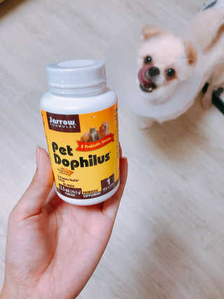 김가시님이 올린 리뷰 사진 1