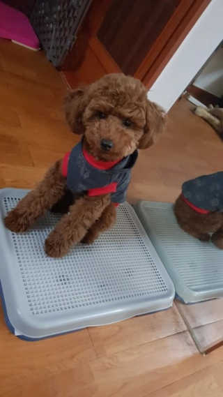미세쓰킴님이 올린 리뷰 사진 1