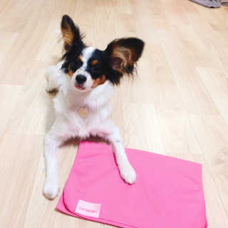 마법의성님이 올린 리뷰 사진 2