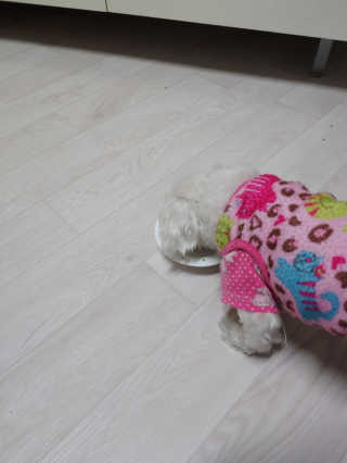 옐로우님이 올린 리뷰 사진 3