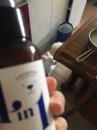 강아지스토리 포인원 모이스처 미스트 100ml — 4점을 준 리뷰어가 2018년 11월 올린 사용 사진