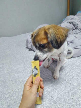 [펫토리아]짜먹는 한입뚝딱 강아지.고양이 마약간식 — 4.5점을 준 리뷰어가 2019년 8월 올린 사용 사진