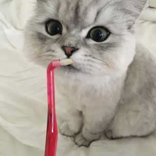 단발소녀님이 올린 리뷰 사진 1