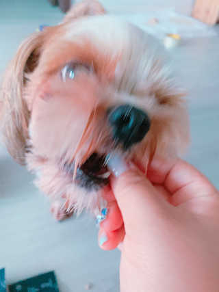 짱츄들님이 올린 리뷰 사진 4