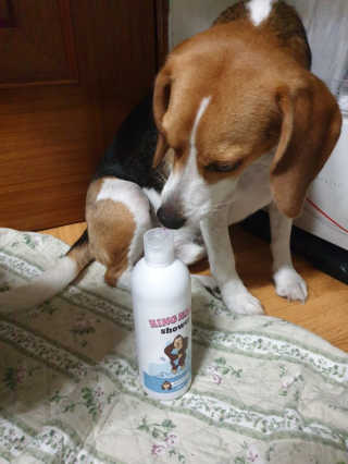beaglelove님이 올린 리뷰 사진 1