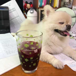 쭈니님이 올린 리뷰 사진 2