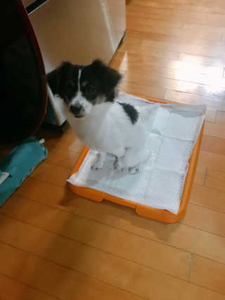 heodang님이 올린 리뷰 사진 2