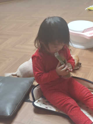 이은미님이 올린 리뷰 사진 4