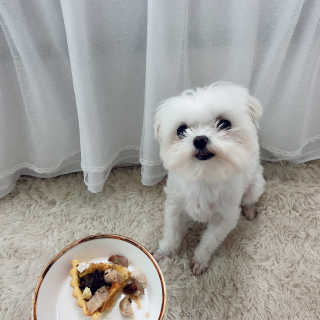 쿙님이 올린 리뷰 사진 2