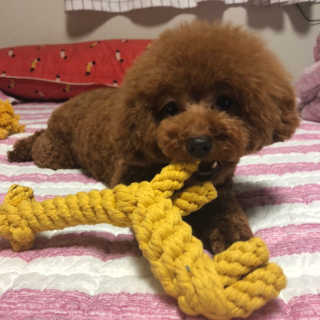 깅쪼니님이 올린 리뷰 사진 1
