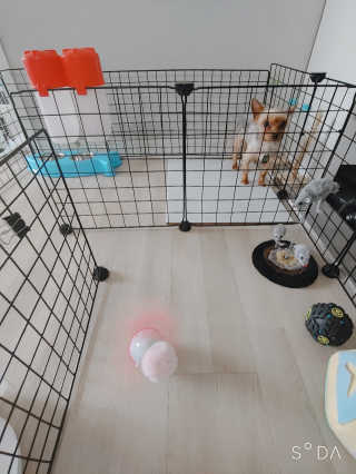 이령아님이 올린 리뷰 사진 3