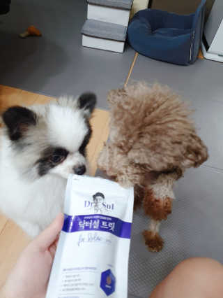 코콩님이 올린 리뷰 사진 2