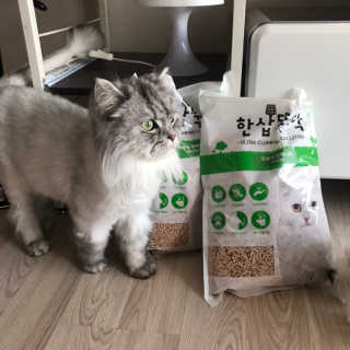 [펫토리아] BEST 고양이두부모래 6L 한삽뚝딱 — 5점을 준 리뷰어가 2019년 2월 올린 사용 사진