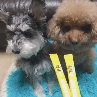 유산균하우스 [프로바이오닉]락토벳 — 5점을 준 리뷰어가 2019년 2월 올린 사용 사진