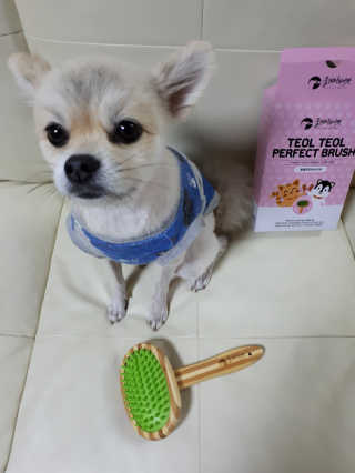 고가을님이 올린 리뷰 사진 1