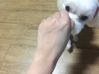 지니님이 올린 리뷰 사진 2