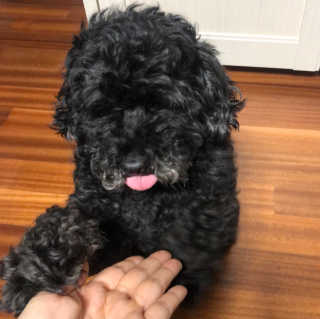 rinihi님이 올린 리뷰 사진 3