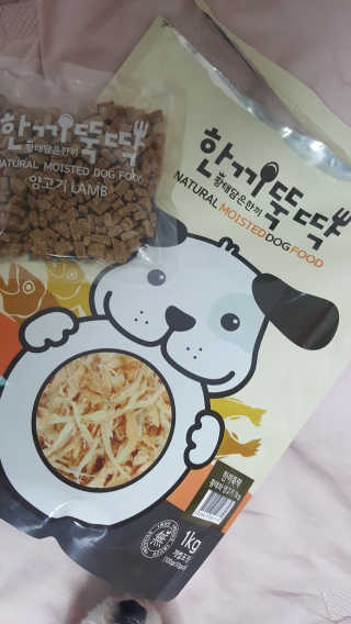 [펫토리아] 맛도 영양도 BEST 한끼뚝딱 강아지 사료 — 5점을 준 리뷰어가 2019년 4월 올린 사용 사진