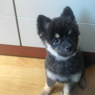 송정아님이 올린 리뷰 사진 2