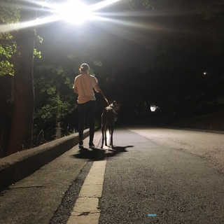 진아님이 올린 리뷰 사진 2