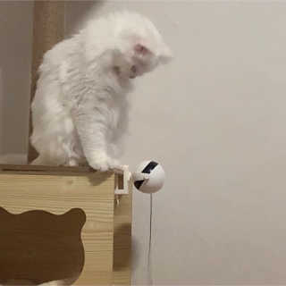 졔린님이 올린 리뷰 사진 2